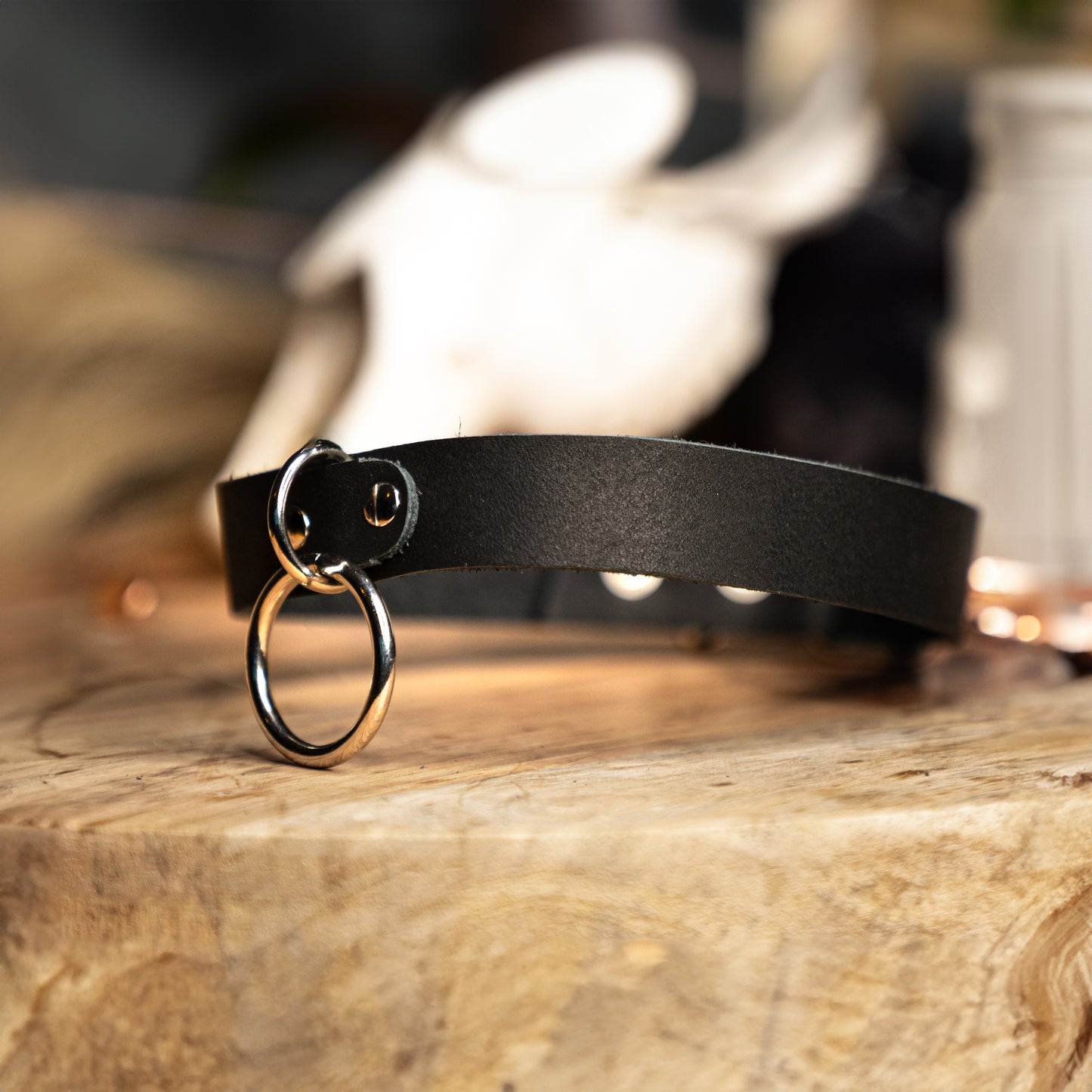 Genuine Leather Simple Oring Choker